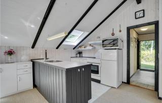 Two-Bedroom Holiday Home In Skjern - Halby - 4