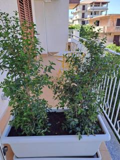 maraneri rooms - Bovalino Marina - 4