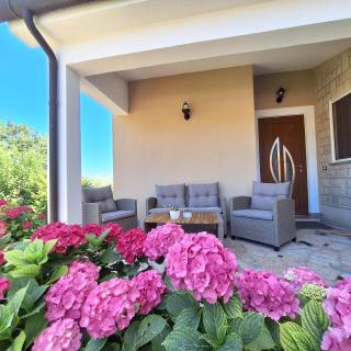 Apartment Mita - Grožnjan (Grisignana) - 7
