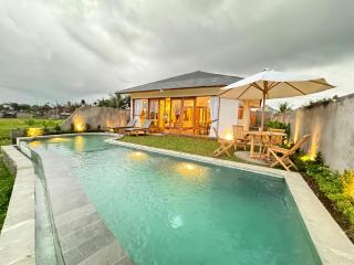 Rajastra villa - Ubud - 0