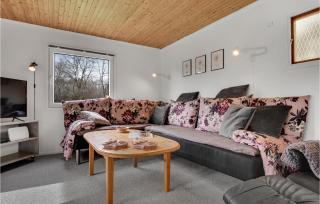 Amazing Home In Hemmet With Wifi - Hemmet - 9