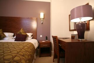 Fishmore Hall Hotel and Boutique Spa - Ludlow - 8