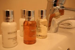 Fishmore Hall Hotel and Boutique Spa - Ludlow - 5
