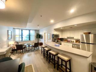 Luxury 1bed Loft, 2 Baths, Central Air, South End - Boston - 7
