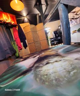 StarWars SAUNA Jacuzzi balneo à 10 minutes de Disneyland - Condé-Sainte-Libiaire - 4