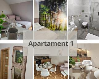 Arkady House - Olsztynek - 8