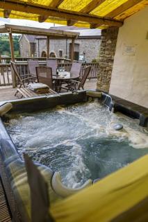 Millers Cottage - Llandysul - 1
