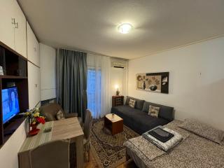 Apartment Dorcol Belgrade - Belgrad - 8