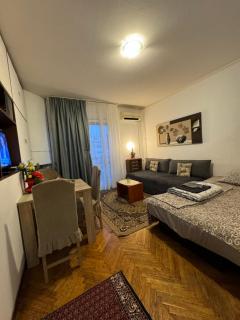 Apartment Dorcol Belgrade - Belgrad - 5
