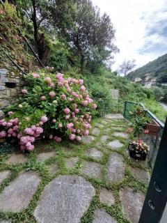 Pupetta Garden - Sori - 4