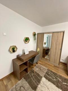 Apartament Fălticeni - Fălticeni - 7