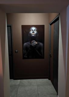 Luxury Villa Moderne, salon de 90m2 - Montgeron - 4