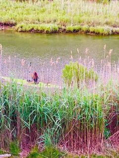 Water front East Hampton Getaway - 4