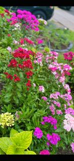 Derbyshire House - 1