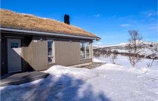 Awesome Home In Rauland With Kitchen - Rauland - 3