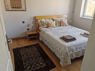 Vesna's apartment - Novi Sad - 9