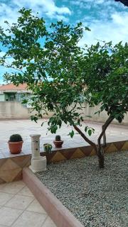 La terrazza - Muravera - 7