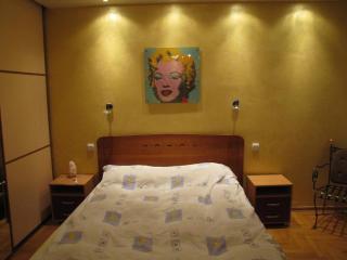 Central Belgrade apartment with jacuzzi bath - Belgrado - 3