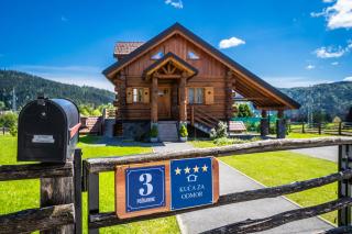 Log home Mountain Mama - 9