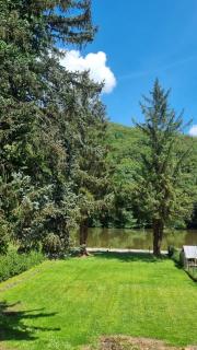 Le sapin bleu - Hastière-par-delà - 3