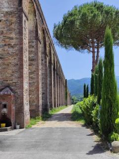 B&B Toringo - Capannori - 3