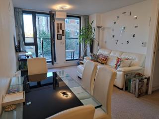 Superb Spacious 1bedroom Zone 1 London Apartment - London - 0