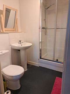 Superb Spacious 1bedroom Zone 1 London Apartment - London - 5