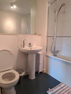 Superb Spacious 1bedroom Zone 1 London Apartment - London - 3