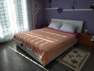 Miladinović Bistrica - 8