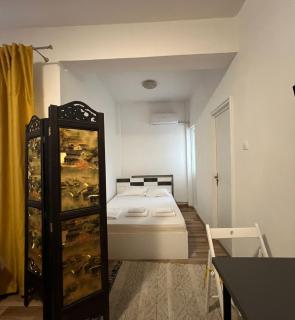 Studio Ultracentral Universitate - Bucarest - 4