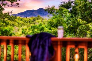 Mystic Fox Cabin - 3