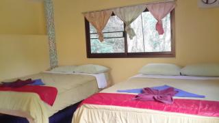 Island Lodge - Ko Chang - 5