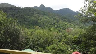 Island Lodge - Ko Chang - 3