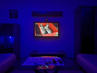 Apartman Andreas - Slavonski Brod - 8