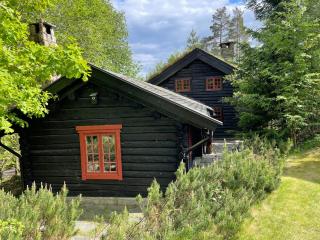 Hallingstua - Oslo - 0