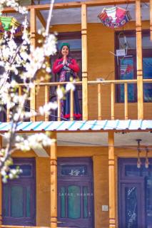 Blue sky home jibhi - 1
