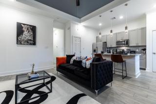 10min to DTWN, NRG, Museums, MMPark, MedCenter - Houston - 5
