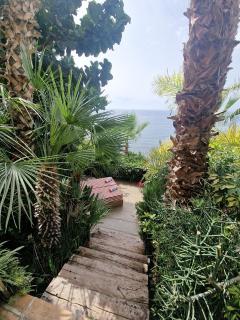 Condesa del Mar adults only - Altea - 5