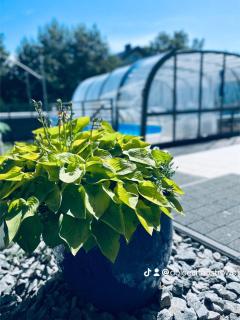 Apartamenty Dolce Vita - Ostrowo - 6