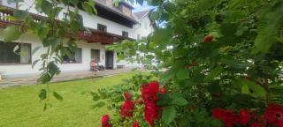 Gästehaus Moorbad Gmös - Laakirchen - 8