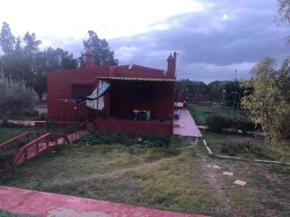 FermeBao - Settat - 6