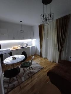 Apartman VIENTO 4 Zlatibor - Palisad - 9