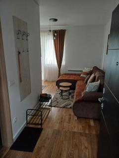 Apartman VIENTO 4 Zlatibor - Palisad - 8