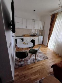 Apartman VIENTO 4 Zlatibor - Palisad - 4