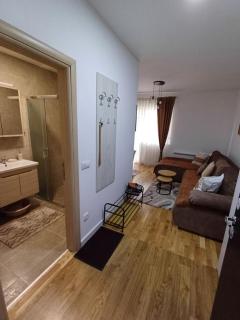 Apartman VIENTO 4 Zlatibor - Palisad - 5