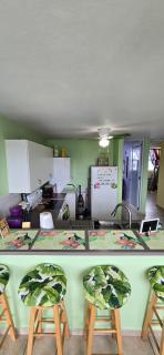 JamRican Penthouse - Fajardo - 7
