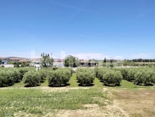 Appartamento per Vacanze codice RC8 - Roseto degli Abruzzi - 2