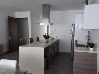 Lujoso departamento en la Quinta Avenida - Playa del Carmen - 1