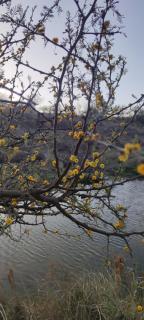 Los Ceibos Suites - 2