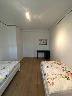 Naturnahe Wohnung in Zettingen B - - 3